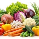 댕댕이 베이커리 이미지