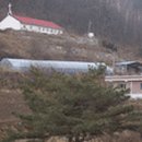 무릉도원면-21 이미지