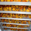 한정농장 이미지