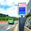 오후의 산책-둔곡교차로/늙은 군인의 노래(1993 양희은 송창식 콘서트) 이미지