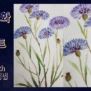 국화천 이미지