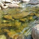 지리산뱀사골 맑은물 펜션 | [공지] 내돈내산 뱀사골계곡 지리산 뱀사골 맑은물 펜션 여름휴가 후기 (뱀사골계곡, 펜션 컨디션, 옵션)