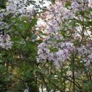 당구치기 좋은날 이미지