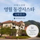 덕포식당 | 아이랑 국내 여행｜애견동반 가능한 영월 동강시스타 펫룸 3박 후기 및 수영장 등 부대시설