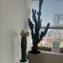 한정형외과의원 이미지