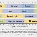헤이데이짐 이미지
