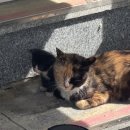 오월의 하루 이미지