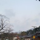 은평드라이브