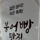 월드붕어