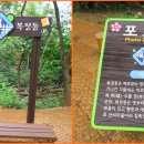 성남2길 이미지