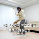 독학골퍼 골프스윙연습기 에이틴에이치 맥스스피드 후기