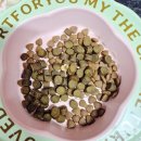 성보펫케어(주) | 강아지 오메가3 추천 케어사이드 오메가덤 소프트 270 한 달 급여 찐후기 f.크루즈펫 첫돌 이벤트