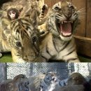 황호농장 이미지