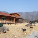 딸부잣집 펜션 이미지