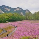 [서울 노원구] 동천재활체육센터