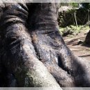 와흘본향당 이미지