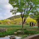 대구수목원 이미지