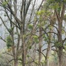 새하나의원 이미지