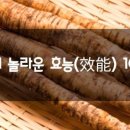 20살 젊어진다! 우엉의 놀라운 효능 10가지 이미지