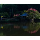 꿈의 정원 이미지