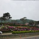 조평2리 버스정류장 전 | [트레킹] 경기도 최대 규모 "용인 이동저수지"(2026. 05. 02)