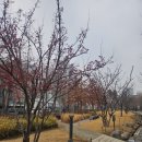 5638 | 신촌 포닐 에그타르트맛집 엄마랑 두쫀쿠 먹은후기