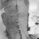 온하루 동물의료센터 이미지