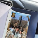 대2-34 | 에버랜드 워킹사파리 로스트밸리 34개월 아기랑 방문 후기 (유모차,꿀팁,오픈런)