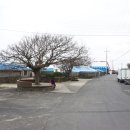 더 아도록 이미지