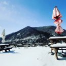 11305-10-497-1 | 담양 카페 가볼만한 곳 봄꽃이 피기 전 미리 다녀온 카페 497