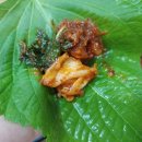 수암골추어탕&먹보곱창 네이버블로그