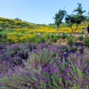 지세포해안로 이미지