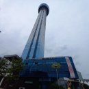 그린타워 이미지