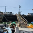 무지개해양수족관 이미지