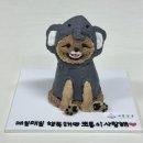 새콤달콩 | 시흥강아지수제간식 강아지케이크 새콤달콩 내돈내산 후기