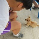 정선가축병원 이미지