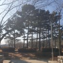 서호꽃뫼(2) 이미지