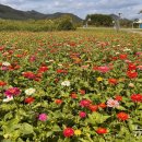 황산공원 농구장 이미지