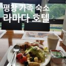 횡계건강식품 | 평창 가족 숙소 라마다 호텔 앤 스위트 스탠다드룸 조식 후기