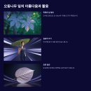 소리나무(주) | 오동나무꽃의 아름다움과 의미