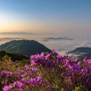지리산 - 부천시 소사구 은성로 40 | 지리산