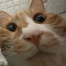 얼룩말식당(평촌점) 이미지