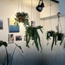 경산꽃집 이미지