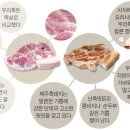 돼지골농장 조선일보