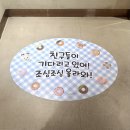 코알라패밀리 | [홍대] 실바니안 패밀리 X 엔제리너스 콜라보 팝업 카페 후기 🐰🐶🐱