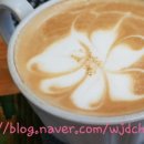 홀빈커피 작은가게 이미지