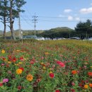 산소카페 청송정원 매표소 근처 이미지