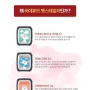 펫큐브 이미지
