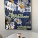 교동세천 이미지