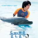 돌핀블루 이미지
